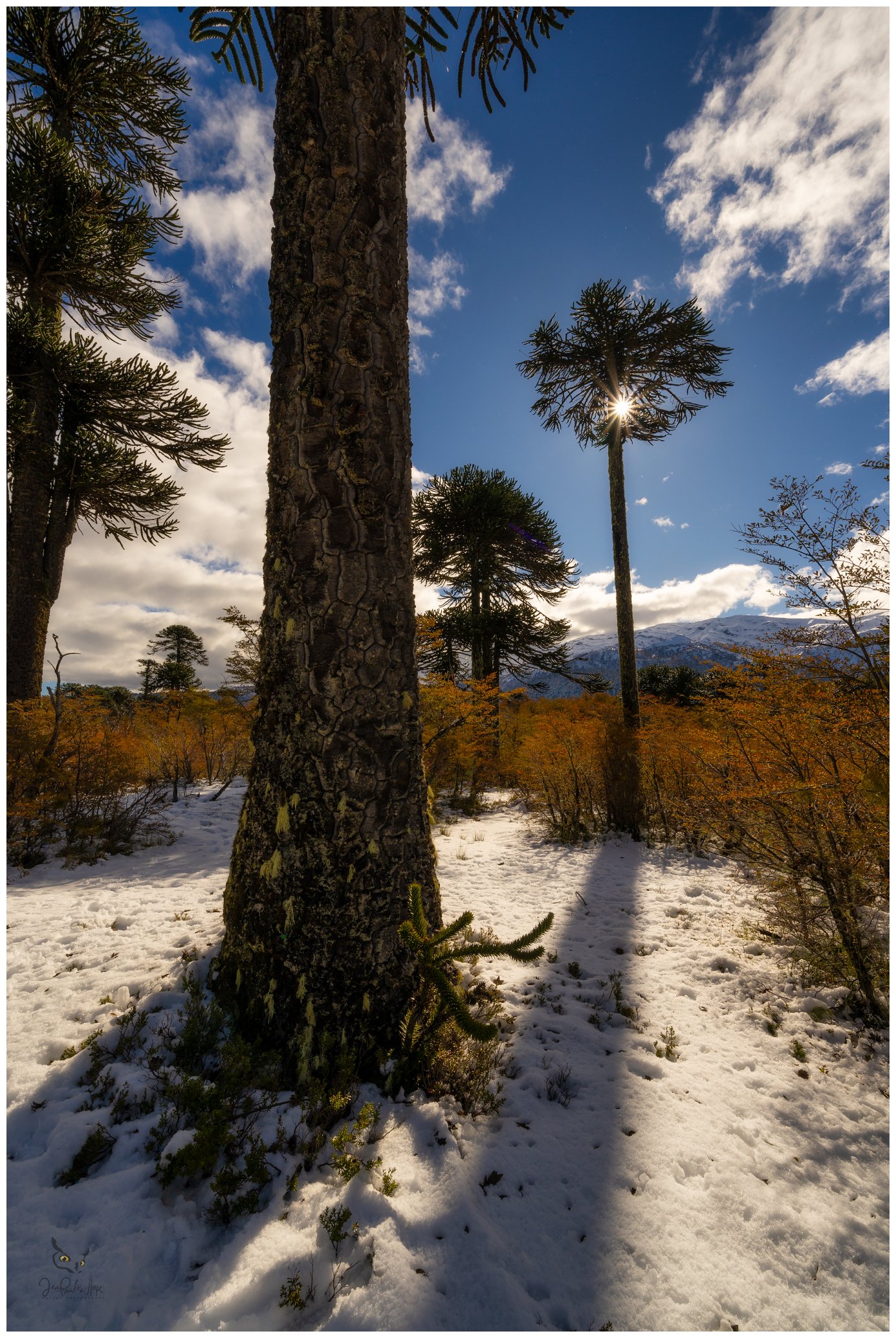 _A7R8133_1385x2068_U_100_Long-Edge